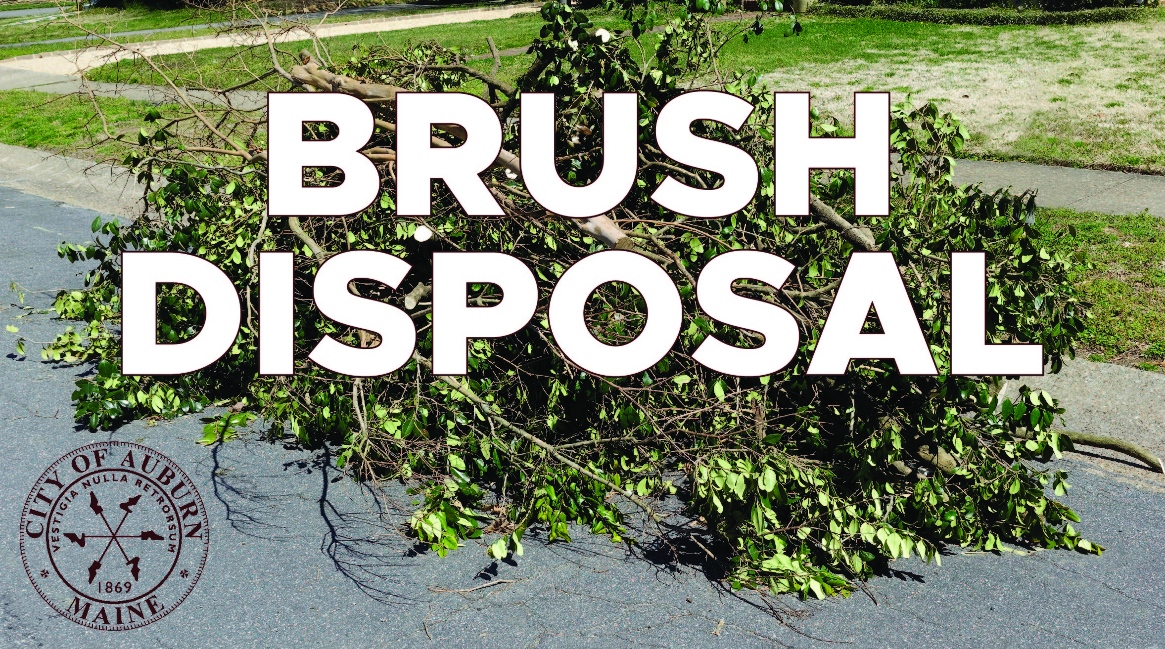 Brush and Leaf Disposal